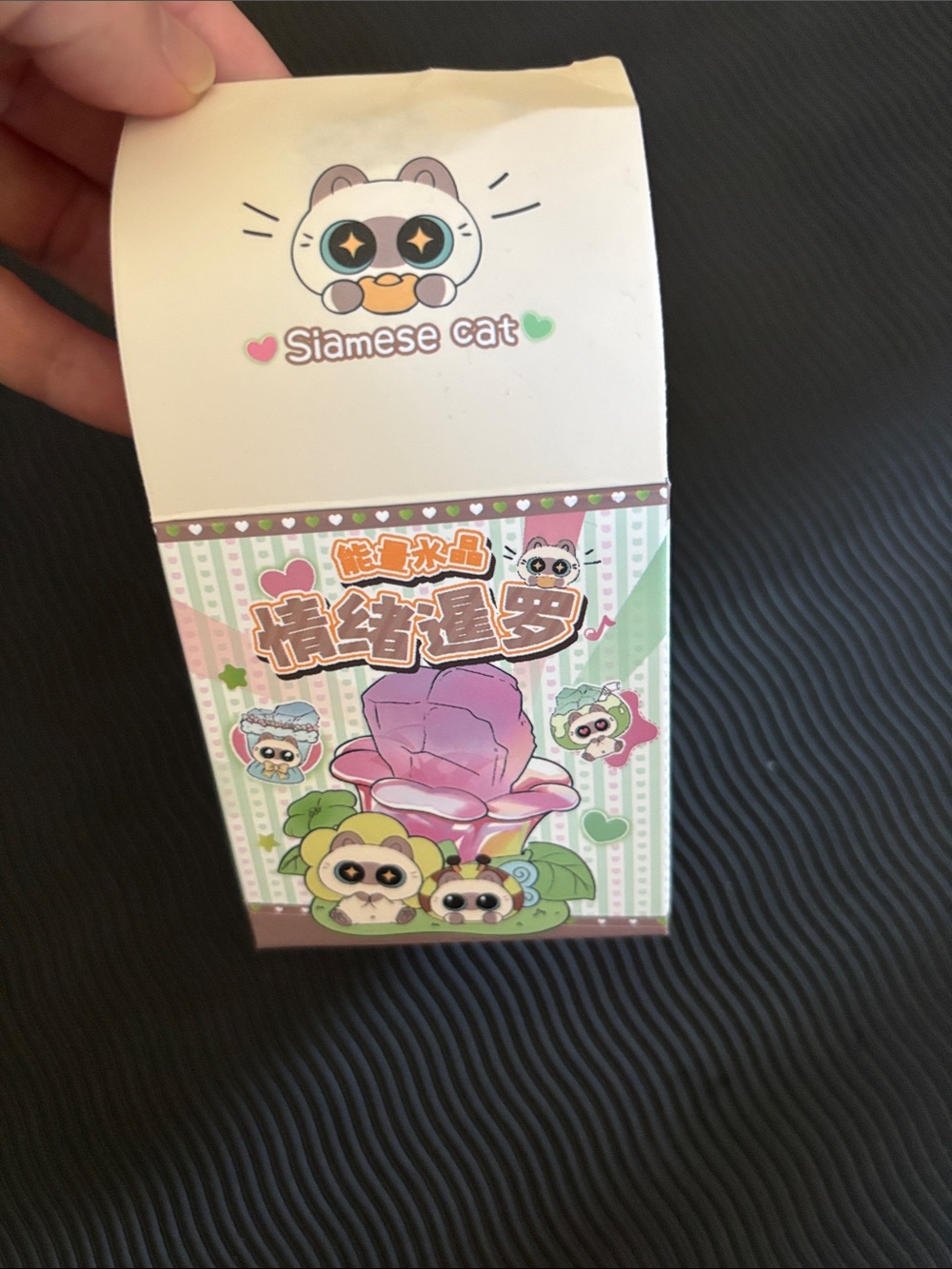 OPENED Siamese Cat Crystals/Rocks Blind Box